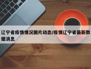 辽宁省疫情情况图片动态/疫情辽宁省最新数据消息