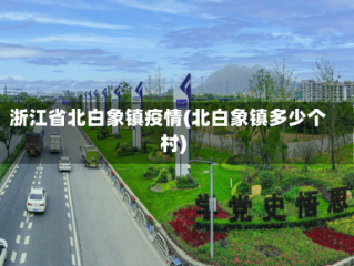 浙江省北白象镇疫情(北白象镇多少个村)