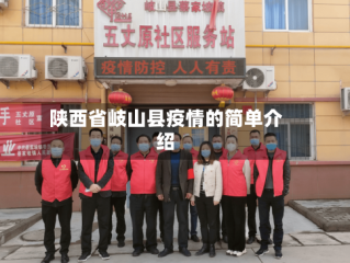 陕西省岐山县疫情的简单介绍