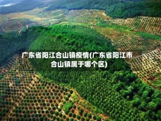 广东省阳江合山镇疫情(广东省阳江市合山镇属于哪个区)