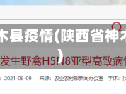 陕西省神木县疫情(陕西省神木市疫情)
