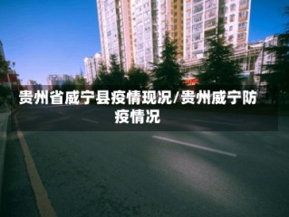 贵州省威宁县疫情现况/贵州威宁防疫情况