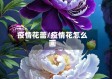 疫情花蕾/疫情花怎么画