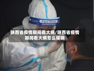 陕西省疫情期间看大病/陕西省疫情期间看大病怎么报销