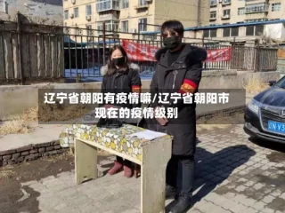 辽宁省朝阳有疫情嘛/辽宁省朝阳市现在的疫情级别