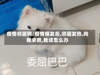 疫情邻居狗/疫情爆发后,邻居发热,向我求救,我该怎么办