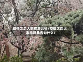 疫情之后大家称湖北省/疫情之后大家称湖北省为什么?