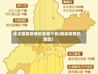 这次爆发疫情的是哪个省(爆发疫情的地区)