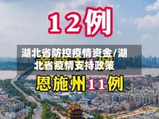 湖北省防控疫情资金/湖北省疫情支持政策