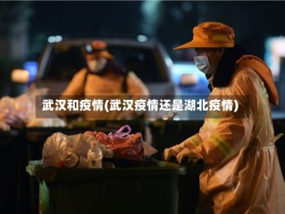 武汉和疫情(武汉疫情还是湖北疫情)
