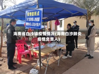海南省白沙镇疫情情况(海南白沙肺炎疫情负责人)