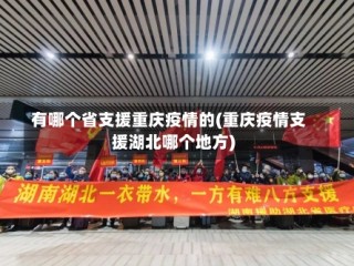 有哪个省支援重庆疫情的(重庆疫情支援湖北哪个地方)
