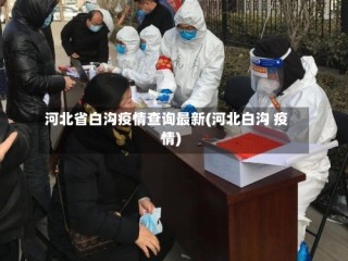 河北省白沟疫情查询最新(河北白沟 疫情)
