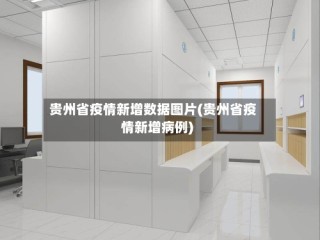 贵州省疫情新增数据图片(贵州省疫情新增病例)