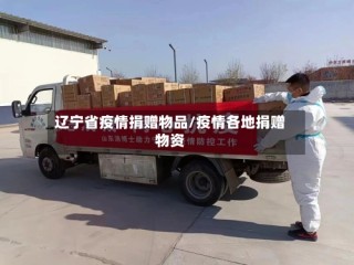 辽宁省疫情捐赠物品/疫情各地捐赠物资