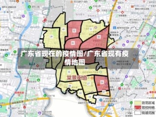 广东省现在的疫情图/广东省现有疫情地图