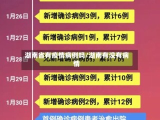 湖南省有疫情病例吗/湖南有没有病情