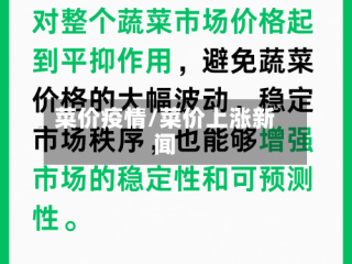 菜价疫情/菜价上涨新闻