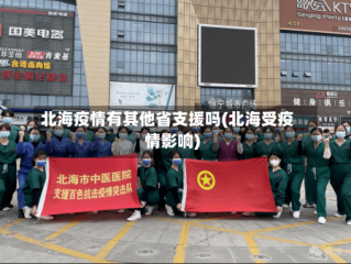北海疫情有其他省支援吗(北海受疫情影响)