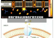 疫情扩散特点(疫情的扩散方式和特点)