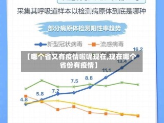 【哪个省又有疫情啦呢现在,现在哪个省份有疫情】