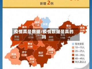 疫情真是数据/疫情数据是真的吗