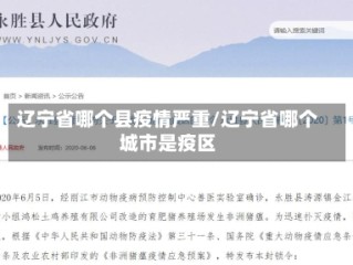 辽宁省哪个县疫情严重/辽宁省哪个城市是疫区