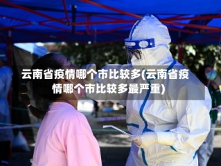 云南省疫情哪个市比较多(云南省疫情哪个市比较多最严重)
