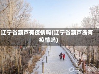 辽宁省葫芦有疫情吗(辽宁省葫芦岛有疫情吗)