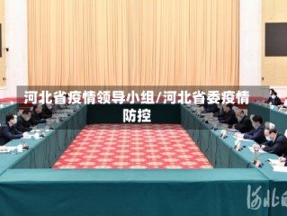 河北省疫情领导小组/河北省委疫情防控