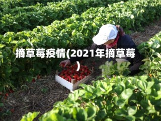 摘草莓疫情(2021年摘草莓)