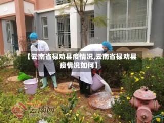 【云南省禄劝县疫情况,云南省禄劝县疫情况如何】