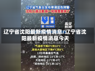 辽宁省沈阳最新疫情消息/辽宁省沈阳最新疫情消息今天