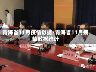 青海省11月疫情数据/青海省11月疫情数据统计