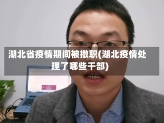 湖北省疫情期间被撤职(湖北疫情处理了哪些干部)