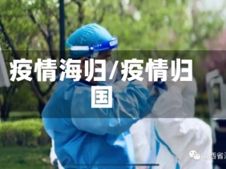 疫情海归/疫情归国