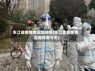东江省疫情情况如何啊(东江省疫情情况如何啊今天)