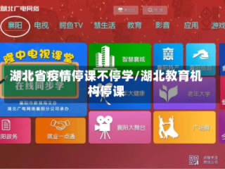 湖北省疫情停课不停学/湖北教育机构停课