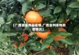 【广西省全州县疫情,广西全州疫情新增情况】