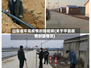 山东省平邑疫情封路视频(关于平邑疫情封路情况)