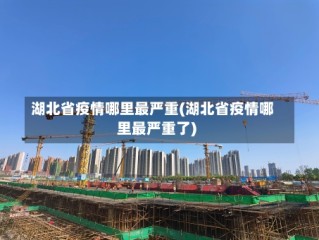 湖北省疫情哪里最严重(湖北省疫情哪里最严重了)