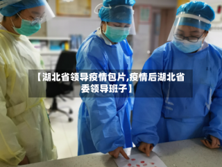 【湖北省领导疫情包片,疫情后湖北省委领导班子】