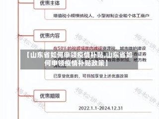 【山东省如何申领疫情补贴,山东省如何申领疫情补贴政策】