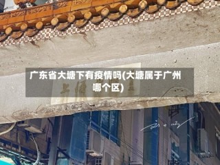 广东省大塘下有疫情吗(大塘属于广州哪个区)