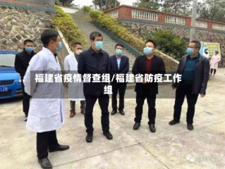 福建省疫情督查组/福建省防疫工作组