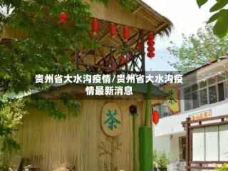 贵州省大水沟疫情/贵州省大水沟疫情最新消息