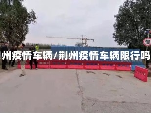 荆州疫情车辆/荆州疫情车辆限行吗