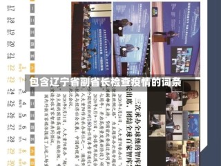 包含辽宁省副省长检查疫情的词条