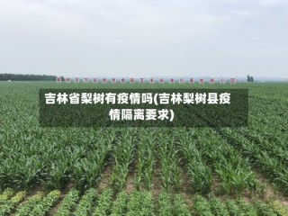 吉林省梨树有疫情吗(吉林梨树县疫情隔离要求)