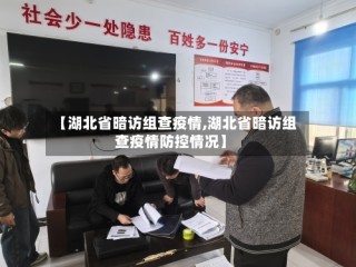 【湖北省暗访组查疫情,湖北省暗访组查疫情防控情况】